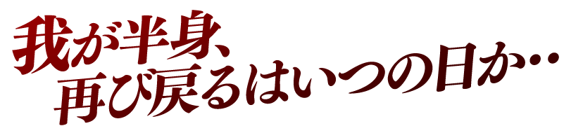 我が半身、再び戻るのはいつの日か…